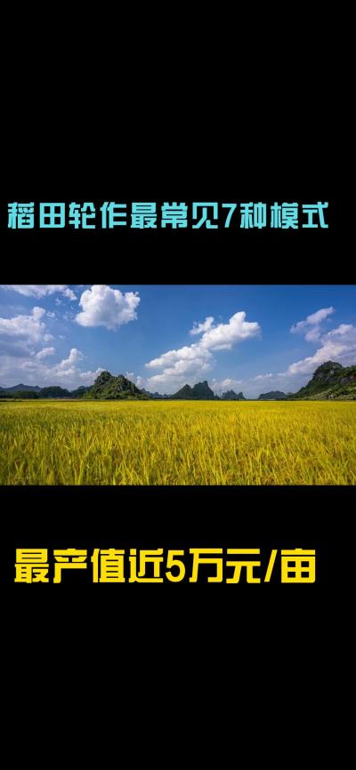 &ldquo;一田多收，藏着农业增收的密码！今天带您1分钟看懂水稻轮作的致富密码