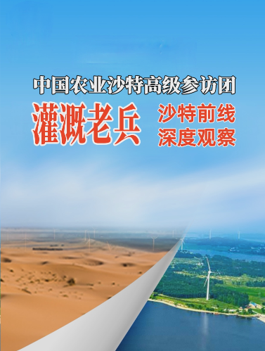 #华维沙特行 灌溉之于沙漠之城利雅得的现实意义 #灌溉不止于灌溉 #华维集团