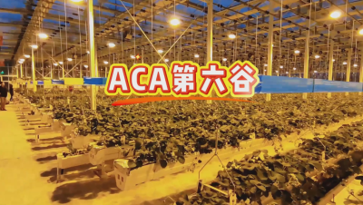 #ACA第六谷 模式，打造#ACA作物工厂，规划建园到栽培种植水肥管理一站式服务！#可控农业 #华维集团