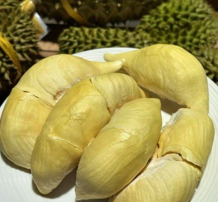 泰国甲仑榴莲
浓香满口，丝滑如奶油
甜甜糯糯，榴莲味浓郁
谁让它是泰国榴莲界的元