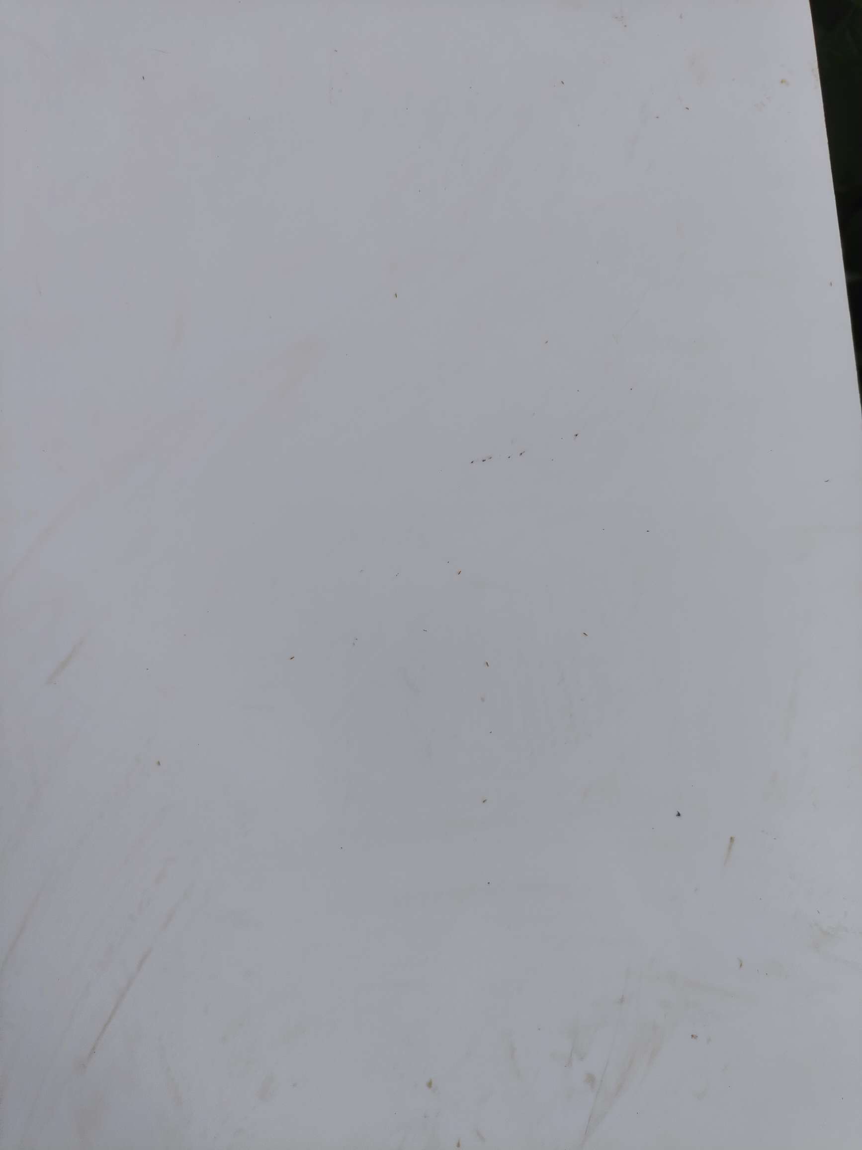 http://st-static1.hljsdty.cn/forums/2025/08/18/17555288245629.jpeg
