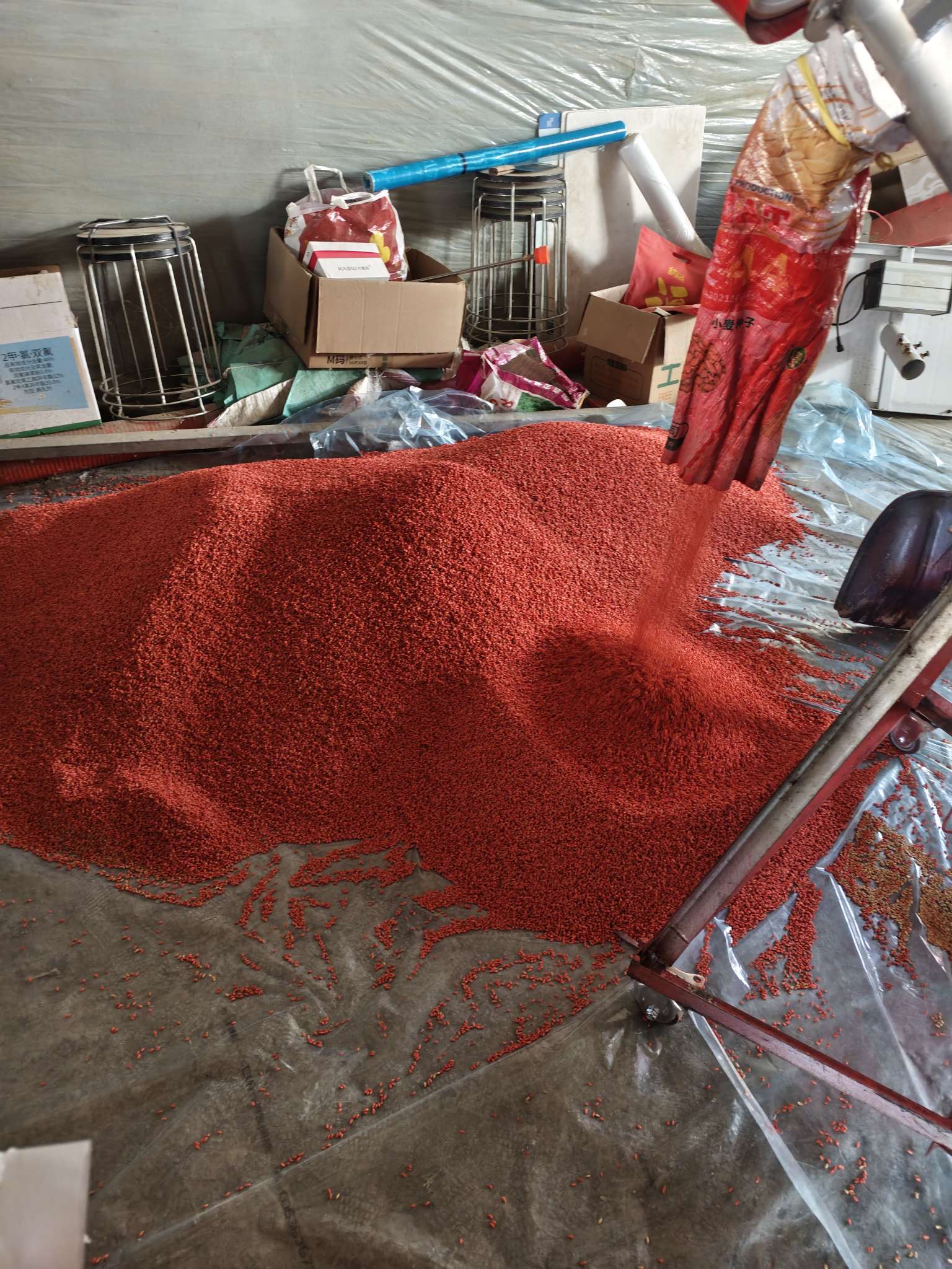 四冠包衣拌种，防虫防病壮苗增产。