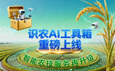 识农AI推出全场景&ldquo;农业AI百宝箱&rdquo;：病害、虫害、AI称重、AI数果、AI兑水一网打尽！农业人的终极