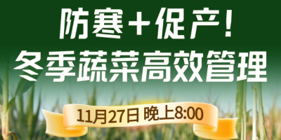《细说农技》专家张宝林教冬季蔬菜防寒 + 促产高效管理，27 日晚 8 点！