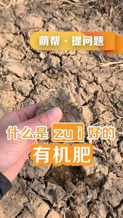 什么是最好的有机肥