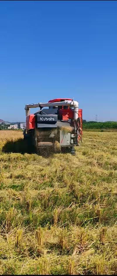 惠州基地，无人拖拉机收水稻了。