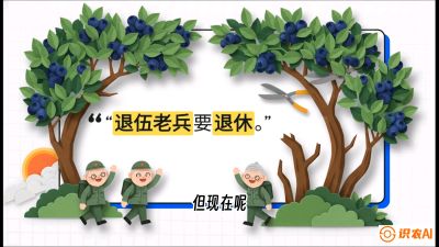 第7节：修剪决定产量（下）&mdash;&mdash;结果树的更新与疏果，课程：《蓝莓&ldquo;高产&rdquo;实战课：从选苗到丰收的10个关键点》