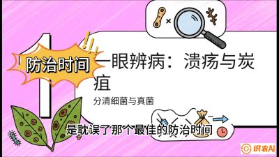 第三节：细菌与真菌&mdash;&mdash;溃疡病与炭疽病，课程：《柑橘十大病虫害：从入门到精通》