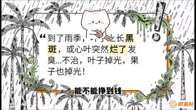 第05节：常见真菌病害&mdash;&mdash;&ldquo;炭疽与烂心，早防值千金&rdquo;《槟榔种植：从不懂到精通的10堂必修课》