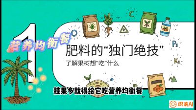第07节：科学施肥&mdash;&mdash;&ldquo;氮磷钾配好，树壮果不倒