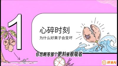 第08节：微量元素与保果&mdash;&mdash;&ldquo;补硼又补钙，果子不裂坏&rdquo;《槟榔种植：从不懂到精通的10堂必修课》