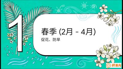第10节：周年农事日历&mdash;&mdash;&ldquo;跟着节气走，丰产在手头&rdquo;《槟榔种植：从不懂到精通的10堂必修课》