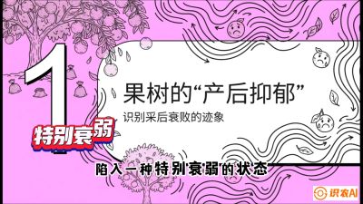 第2节：【冬肥策略】采后&ldquo;月子肥&rdquo;：大小年的精准干预术，课程：《柑橘底肥&ldquo;翻身账&rdquo;：从改土到高产的实战全书》