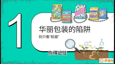 第4节：【黄金配方】底肥里的&ldquo;铁三角&rdquo;与&ldquo;微量雷区&rdquo;课程：《柑橘底肥&ldquo;翻身账&rdquo;：从改土到高产的实战全书》