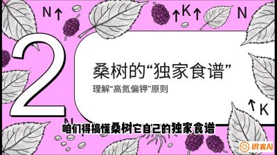 第04节：地下核动力&mdash;&mdash;桑树专用水肥一体化配方，课程：《桑海淘金：桑树高产与蚕桑安全进阶实战课》