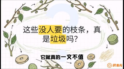 第12节：变废为宝&mdash;&mdash;循环农业实操，课程：《桑海淘金：桑树高产与蚕桑安全进阶实战课》