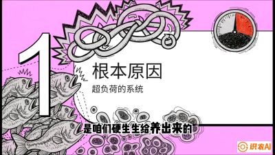 第三节：【爆款单品&middot;加州鲈】从&ldquo;玻璃鱼&rdquo;到&ldquo;摇钱树&rdquo;的通关秘籍，课程：《黄金鳞甲：2025中国淡水鱼高效养殖实战营》