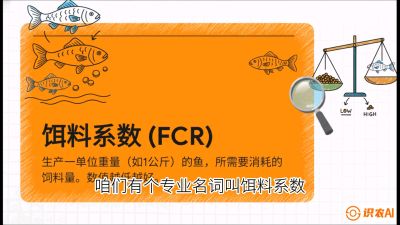 第五节：【高端单品&middot;鳜鱼】&ldquo;饲料鳜&rdquo;技术：打破吃活饵的高成本魔咒，课程：《黄金鳞甲：2025中国淡水鱼高效养殖实战营》