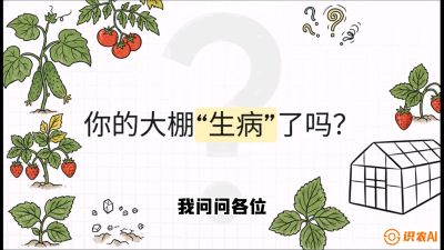 第2节（解毒篇）： 大棚里的&ldquo;红白绿&rdquo;警报&mdash;&mdash;读懂土壤盐渍化的求救信号，课程：《揭秘土壤的秘密：让土地帮你赚钱》#识农AI