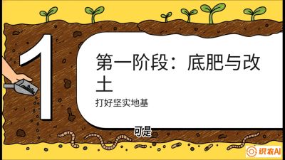 第6节（统筹篇）： 省钱又增产的&ldquo;黄金配比&rdquo;&mdash;&mdash;不同作物全年的养土实操方案，课程：《揭秘土壤的秘密：让土地帮你赚钱》#识农AI
