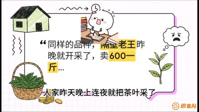 第01节（抢早篇）：与老天爷抢饭吃：如何利用&ldquo;温差阈值&rdquo;让头采茶提前5天上市？，课程：《茶金时代：从&ldquo;看天吃饭&rdquo;到&ldquo;精准控局&rdquo;的茶叶高产提质实战课》