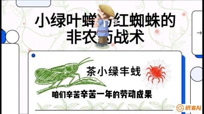 第03节（虫害篇）：看不见的吸血鬼：小绿叶蝉与红蜘蛛的&ldquo;非农药&rdquo;团灭战术（抗性治理），课程：《茶金时代：从&ldquo;看天吃饭&rdquo;到&ldquo;精准控局&rdquo;的茶叶高产提质实战课》