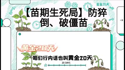 第2节：【苗期生死局】防猝倒、破僵苗，决定后期产量的&ldquo;黄金20天&rdquo;，课程：《辣椒种植实战特训营，从工业辣椒到精品小米辣，教你如何把&ldquo;草&rdquo;种成&ldquo;金&rdquo;》