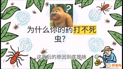 第4节：【虫害歼灭战】打不死的蓟马、隐形的茶黄螨：抗性时代的&ldquo;混配绝杀&rdquo;，课程：《辣椒种植实战特训营，从工业辣椒到精品小米辣，教你如何把&ldquo;草&rdquo;种成&ldquo;金&rdquo;》