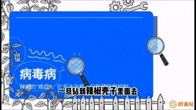 第5节：【病毒病阻击】辣椒的&ldquo;癌症&rdquo;怎么治？从&ldquo;绝收恐慌&rdquo;到&ldquo;带毒生产&rdquo;的逆转术，课程：《辣椒种植实战特训营，从工业辣椒到精品小米辣，教你如何把&ldquo;草&rdquo;种成&ldquo;金&rdquo;》