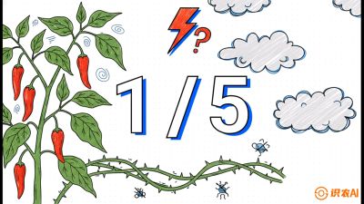 第6节：【花果爆发术】落花落果的五大元凶，与&ldquo;三喷一保&rdquo;坐果黑科技，课程：《辣椒种植实战特训营，从工业辣椒到精品小米辣，教你如何把&ldquo;草&rdquo;种成&ldquo;金&rdquo;》