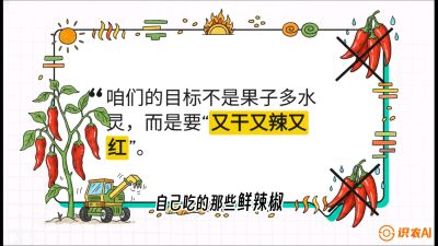 第7节：【工业辣椒专场】追求极致辣度！干物质提升与机械化采收的&ldquo;催红秘籍&rdquo;，课程：《辣椒种植实战特训营，从工业辣椒到精品小米辣，教你如何把&ldquo;草&rdquo;种成&ldquo;金&rdquo;》