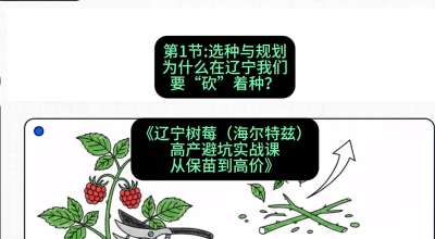 第一节： 选种与规划&mdash;&mdash;为什么在辽宁我们要&ldquo;砍&rdquo;着种？，课程：《辽宁树莓（海尔特兹）高产避坑实战课：从保苗到高价》