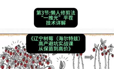 第三节： 懒人修剪法&mdash;&mdash;&ldquo;一推光&rdquo;平茬技术详解，课程：《辽宁树莓（海尔特兹）高产避坑实战课：从保苗到高价》