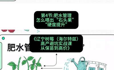 第四节： 肥水管理&mdash;&mdash;怎么喂出&ldquo;石头果&rdquo;（硬度提升），课程：《辽宁树莓（海尔特兹）高产避坑实战课：从保苗到高价》
