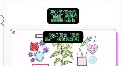 第02节：百合的&ldquo;癌症&rdquo;&mdash;&mdash;病毒病的阻断与急救，课程：《卷丹百合&ldquo;无病高产&rdquo;植保实战课》#识农AI