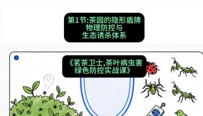 第01节：茶园的&ldquo;隐形盾牌&rdquo;&mdash;&mdash;物理防控与生态诱杀体系，课程：《茗茶卫士&mdash;&mdash;茶叶病虫害绿色防控实战课》#识农AI