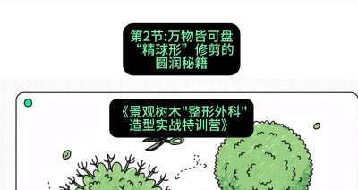 第02节：万物皆可盘&mdash;&mdash;&ldquo;精球形&rdquo;修剪的圆润秘籍，课程：《景观树木&ldquo;整形外科&rdquo;造型实战特训营》#识农AI