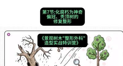 第07节：化腐朽为神奇&mdash;&mdash;偏冠、秃顶树的修复整形，课程：《景观树木&ldquo;整形外科&rdquo;造型实战特训营》#识农AI