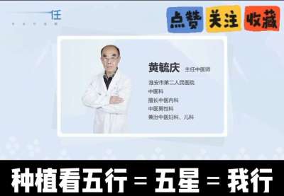 中药材淫羊藿怎么种？听专家一次讲明白！不挑地块好管理，耐寒耐旱省心省力，新手也能轻松上手，药用价值高、市场需求稳，妥妥的增收好品种～ 从生长习性到采收要点，干货满满无废话，种植疑问直接问，一对一答疑解
