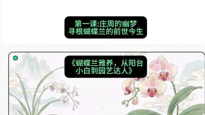 第一节：庄周的幽梦：寻根蝴蝶兰的前世今生，课程：《蝴蝶兰雅养六讲：从阳台小白到园艺达人》#识农AI