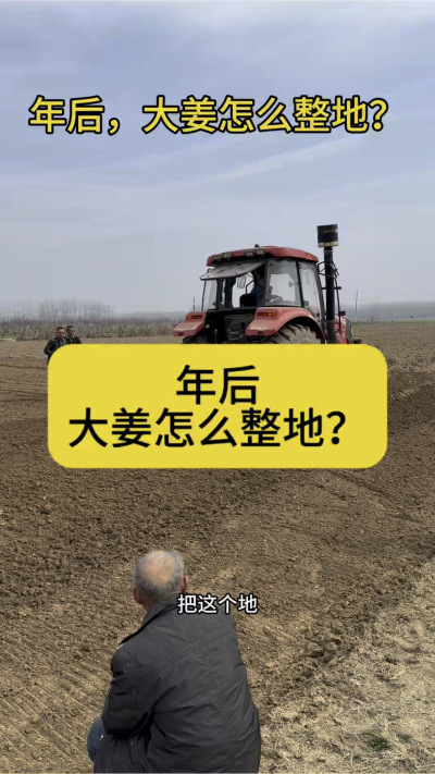 年后，大姜怎么整地？