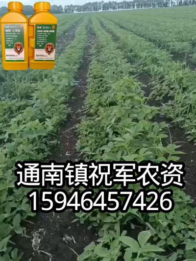 大豆苗前封闭，可封红根苋菜，灰菜，兰花菜，野豆子，捞豆秧等恶性杂草，封杀兼备的高端产品。