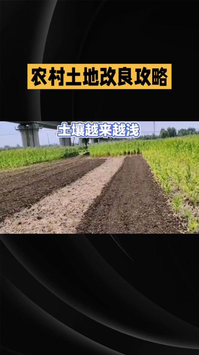 1. 先搞懂：你到底要改良哪块地、种什么
 
- 土土土在哪里？
就是你自家农田、菜地、果园，哪块地想种庄稼，就测哪块地的土。
​
- 有水没有水？
有水能浇：改良更省事，施肥、调酸碱都好操作。
没水