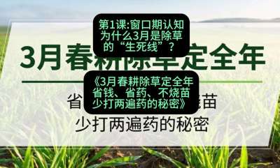 第1节：窗口期认知，为什么3月是除草的&ldquo;生死线&rdquo;？，课程：《3月春耕除草定全年：省钱、省药、不烧苗、少打两遍药的秘密》