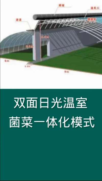 双面日光温室菌菜一体化模式，为现代农业利用设施的一种高效种植模式。食用菌排出二氧化碳为蔬菜生长所需提供气体，蔬菜排出氧气正好为食用菌提供生长所需的氧气，彼此促进生长，是现代农业发展的一种有效途径。