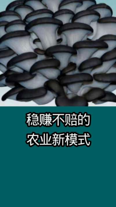 稳赚不赔的农业新模式