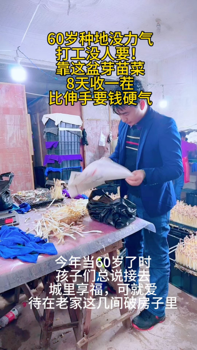 60岁的农村老人，不靠儿女靠双手：
&bull; 几间老房改芽苗棚，8天收一茬

&bull; 每天就管两次水，比种地轻松十倍

&bull; 赚的钱够花，还能帮衬孙子孙女

有人说&lsquo;年纪大了就该闲着&rsquo;，可我觉得：
能自食其力，能
